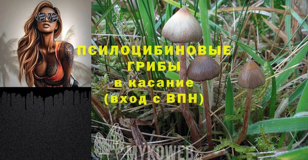 прущий лед Алексеевка