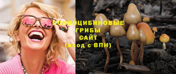дмт Алзамай