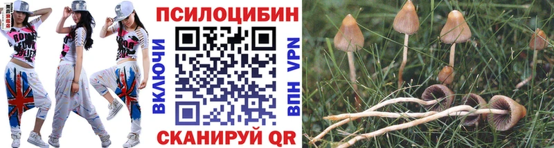 Псилоцибиновые грибы GOLDEN TEACHER  Салехард 